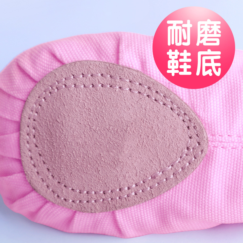 En stock zapatos de baile para niños zapatos de baile de ballet zapatos de práctica corporal zapatos de satén bordados nuevos zapatos de garra de gato zapatos de yoga