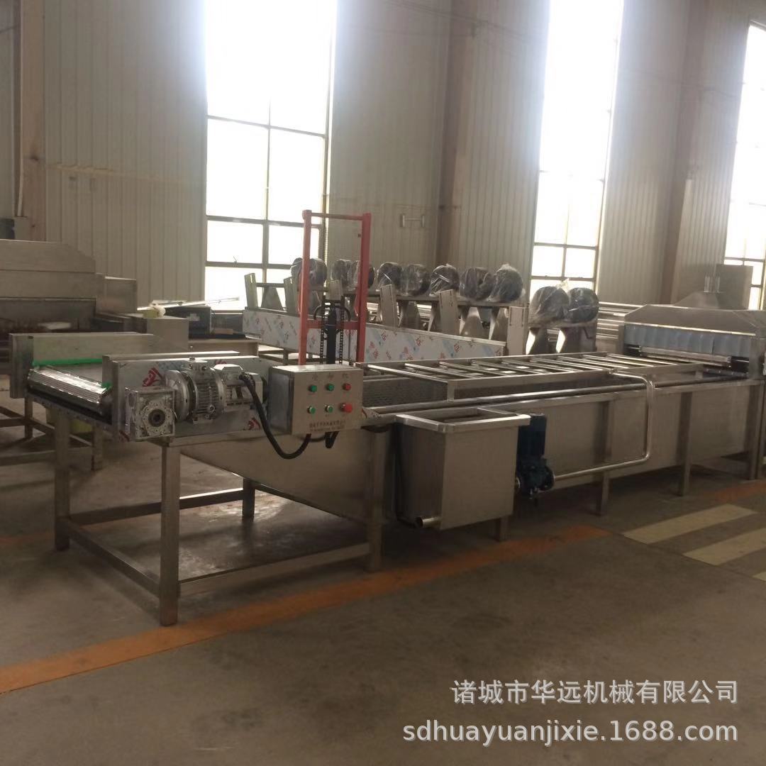 杏鲍菇漂烫机 毛 土豆片藕片漂烫机预煮机 根茎类蔬菜杀菌机