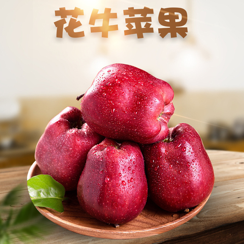 Gansu Tianshui Huaniu Apples Holiday Gift Dropshipping 1.0-4kg Fresh Seasonal Fruit in Whole Boxes, Sweet and Chewy Gansu Tianshui Huaniu Apples Holiday Gift Dropshipping 1.0-4kg Fresh Seasonal Fruit in Whole Boxes, Sweet and Chewy
