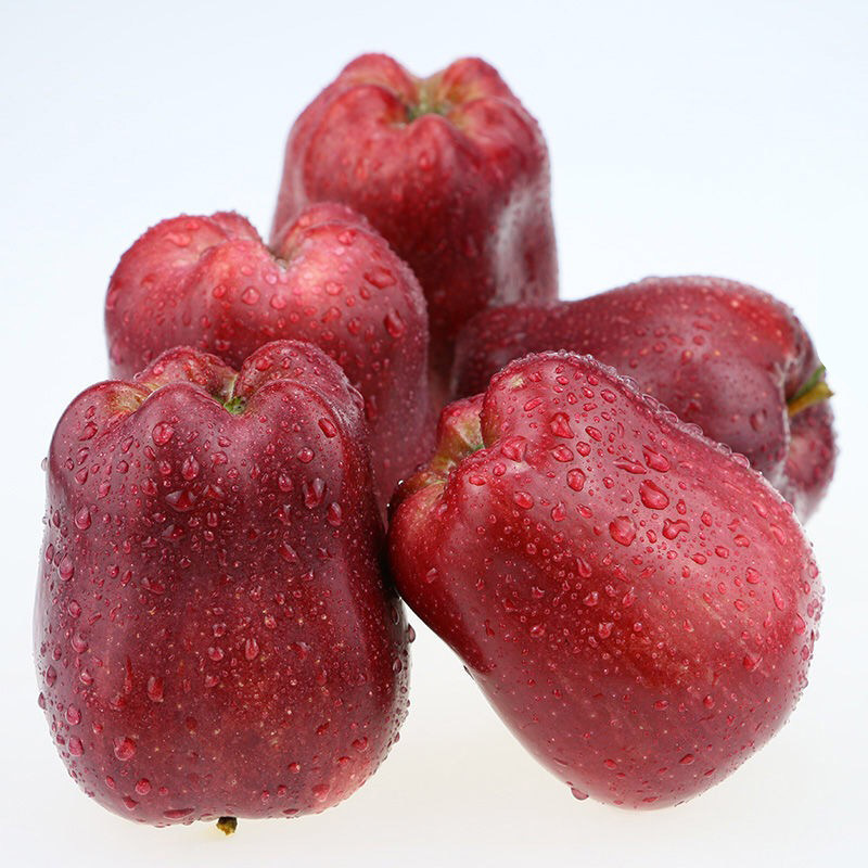 Gansu Tianshui Huaniu Apples Fresh Seasonal Fruit Baby Food Sweet and Fragrant Whole Box 5kg Free Shipping Gansu Tianshui Huaniu Apples Fresh Seasonal Fruit Baby Food Sweet and Fragrant Whole Box 5kg Free Shipping
