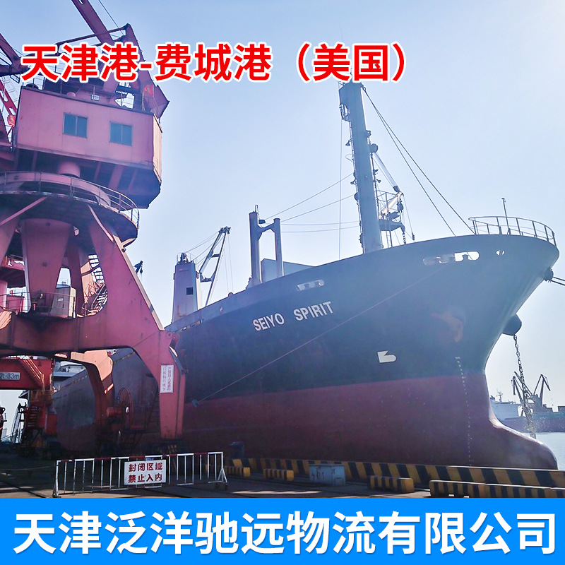 货代天津港到美国费城港 供应批发国际海运商务物流服务