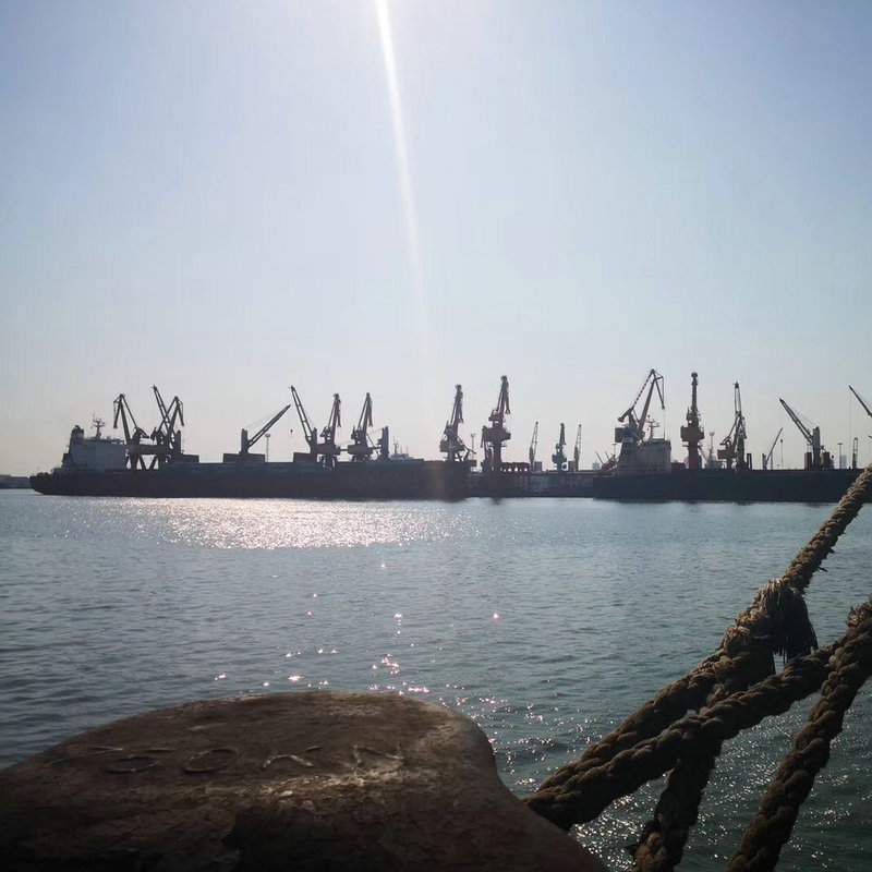 ������Ӧ���۵��񻧸� �����պ����ʺ���������������