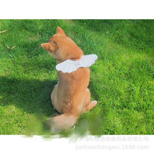 Chai Dog Internet Red Style ins Style Amazon Christmas Pet Little Angel Wings Cat Small and Medium Dog Accessories