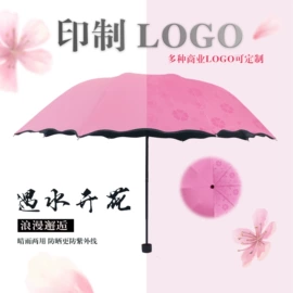 雨伞;遮阳/太阳伞;晴雨伞
