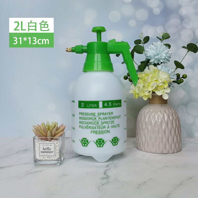 Regadera de flores, desinfección, regadera, jardinería, regadera, pulverizadora de plástico, pulverizador de presión atmosférica, pequeña botella de pulverizador de presión image 8