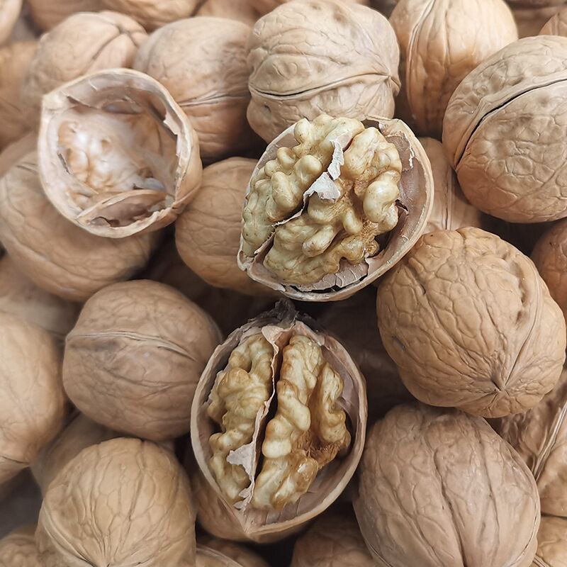 wholesale 2025 year new goods Xinjiang specialty Aksu 185 Cardboard Walnut bulk