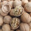 wholesale 2025 year new goods Xinjiang specialty Aksu 185 Cardboard Walnut bulk