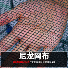 �S�ҹ����Ԅ��ۯB�r�\���~�W�֒��W�r�W�Ӵւ�\�O�߲��r���l