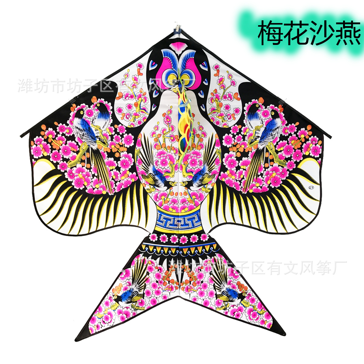 kite for adults