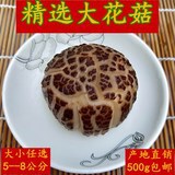 �󻨹����_  ��؛ �r�� ���خa �㹽 �Ԯa���N�� ��� ����