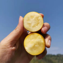 �V���ڰ����r���������۽�̽����۶�֭�o�˽�۲���Y���b���