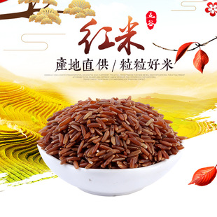 �a��؛Դ���l�L���t�� ����s�Z���ȼt���� �¼t�״��b�r�Ҽt����