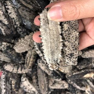 ���l����� ������ ī�����ㅢ �����̅� �������Ӆ�������؛