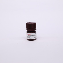 S8190 ͸��������    ͸������ Hyaluronic acid 9067-32-7