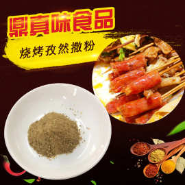 厂家销售调味料 1kg满口留香量大优惠美食小吃烧烤孜然撒粉