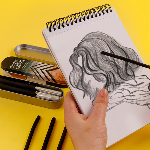 Montmartre Sketching Willow Carbon Strips Easy-to-Color Soft Medium Hard Sketching Carbon Sticks Soft Carbon Pens for Artists to Sketch