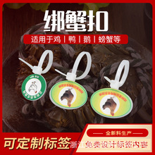 �u�_�h����������h�˺���ӡ�������W������������׷��Դ�˺�����