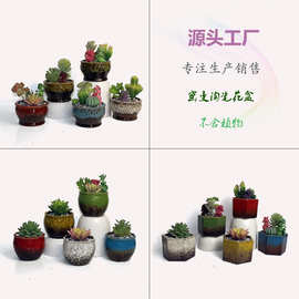 陶瓷花盆 窑变陶瓷多肉花盆 花卉绿植陶瓷花盆 简美家居多肉花盆