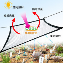 �����X����ꖾW��������y��ɫ����̨ꖹⷿ����@ˇ������ꎾW