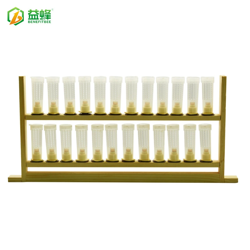 Новый продукт король селекции рамка улья коробка гнездо рамка король защита крышка король база королева пчела специальная пчелиная посуда полный комплект