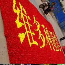 �������ٻ����ַ��潁�����͹��Ցc��Y�x��Ʒ���D��G��S��ֱ��