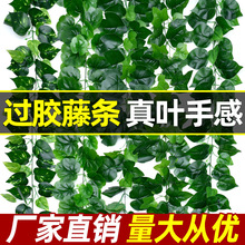 绿植物假树叶绿萝葡萄爬山虎藤蔓过胶绿叶吊顶装饰铁丝藤条高仿真