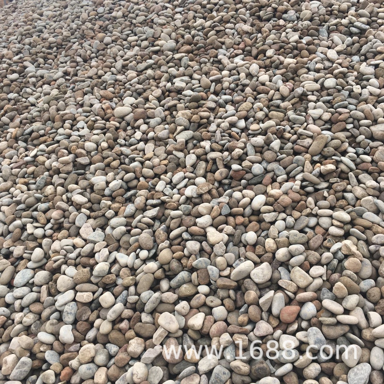 现货供应杂色鹅卵石 建筑工程石子 油池过滤鹅卵石