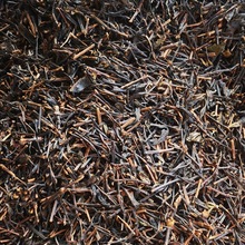 �t�蹣С�N�蹣�S�����l �ƘǴ��řn�ò�