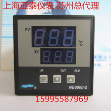 AISET上海亚泰仪表有限公司NE6000温控仪表 NE-6402V-2 PT100