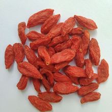 宁夏枸杞产地枸杞500g甘肃苟杞宁夏袋装枸杞批发苟杞大颗粒构杞