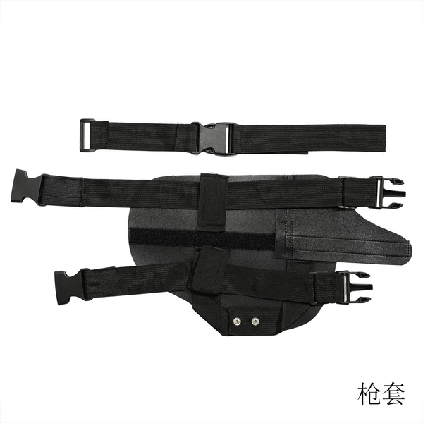 Holster (classic model)