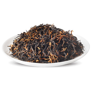 2025��ɢ�b���Eһü ����ѿ ������ ɢ�b���~ �S��ֱ�N