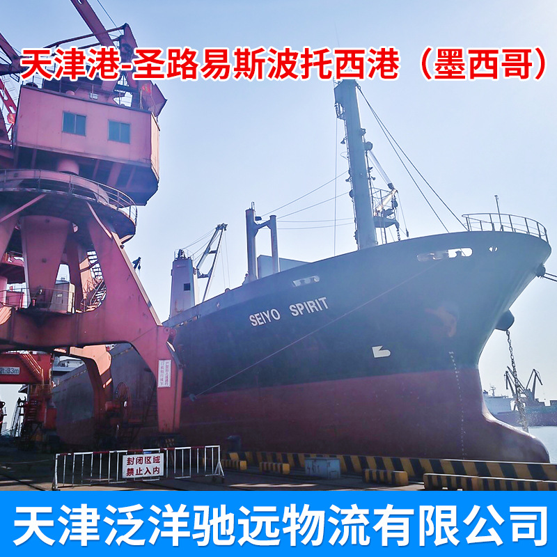 ���۵�ʥ·��˹�������� ������Ӧ�����������ʺ���