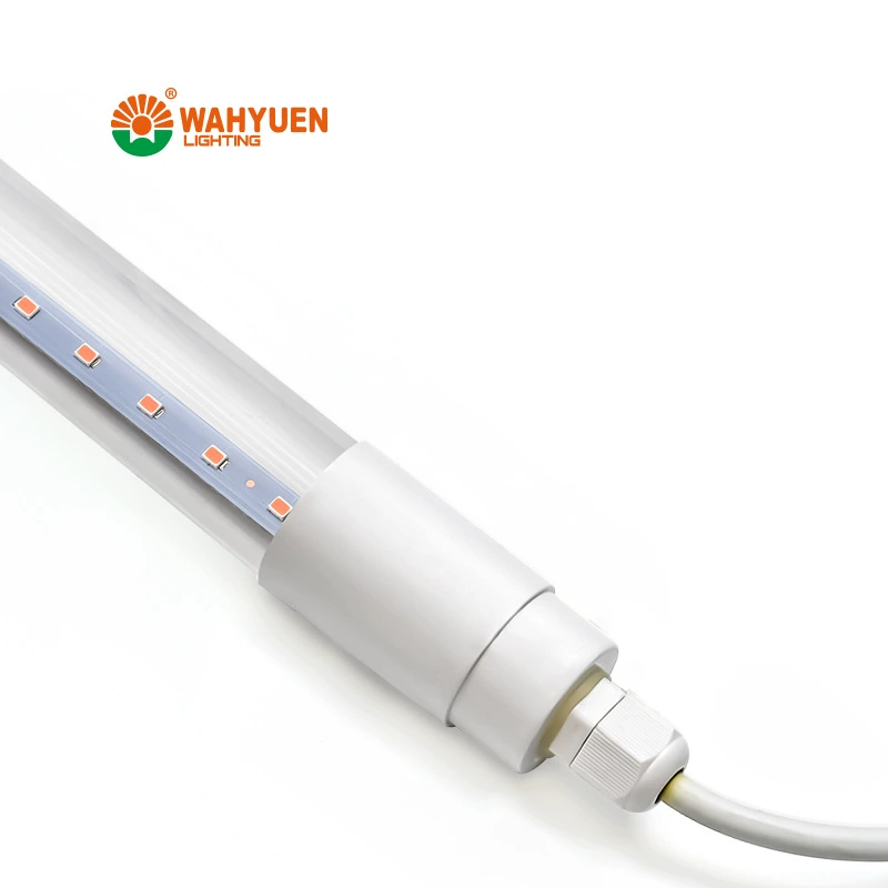 LED plant lamp, comfortable light spectrum