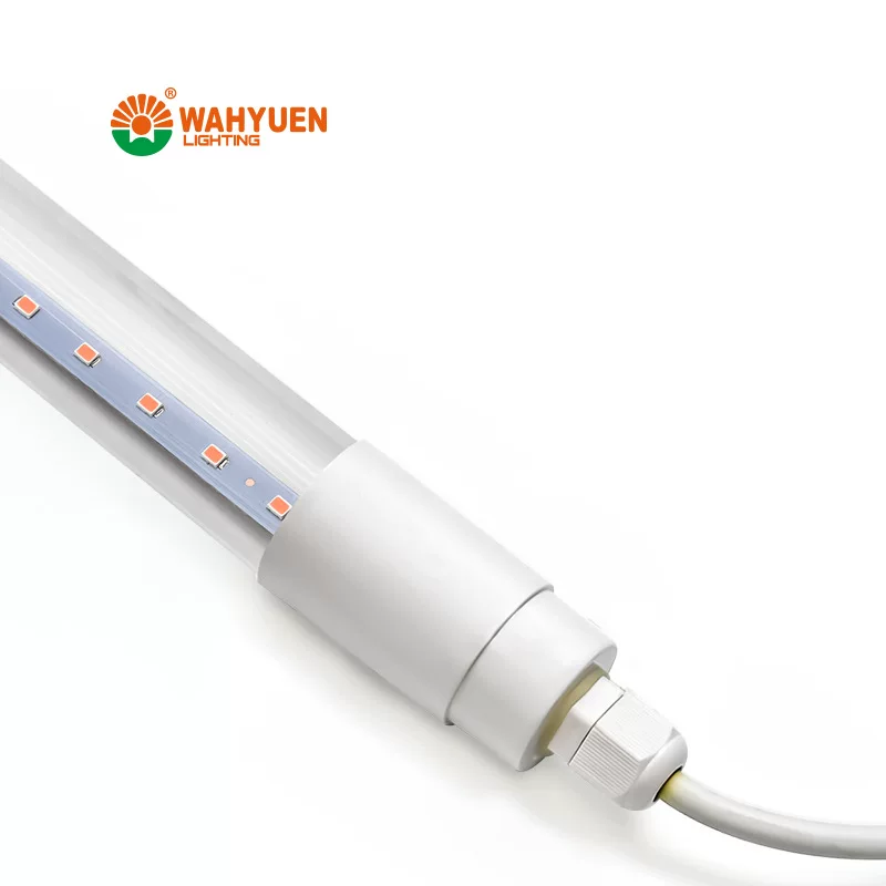LED plant lamp, comfortable light spectrum