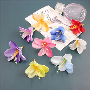 DIY�Ʒ�^�������m�� ����[�O6�������m�� ��@�Ҿ��b�