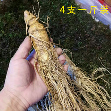 �����\���L��ɽ�r�˅�500g�����|���خa�r���ݾƅ�������aƷ����