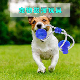 亚马逊狗狗拔河啃咬磨牙petmolar玩具球大型犬大狗宠物互动玩具