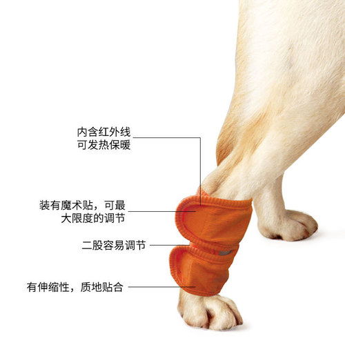 Amazon pet knee pads dog postoperative leg warmers recovery strap bracket leg warmers