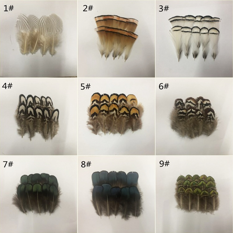 Manufacturer Wholesale Pheasant Small Feathers DIY Pheasant Feather Headdress Corsage Hat Shoes Crafts Decoration Materials Manufacturer Wholesale Pheasant Small Feathers DIY Pheasant Feather Headdress Corsage Hat Shoes Crafts Decoration Materials