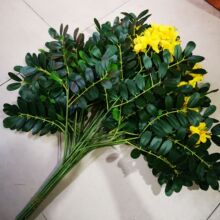 ���滱�����~���滱��֦ �@�־��^����ü٘�֦ ����Gֲ��c�û�