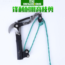 ��Դ��Ӧ��֦����Ʒ С��  �߿���֦����֦�� ��֦��������֦��