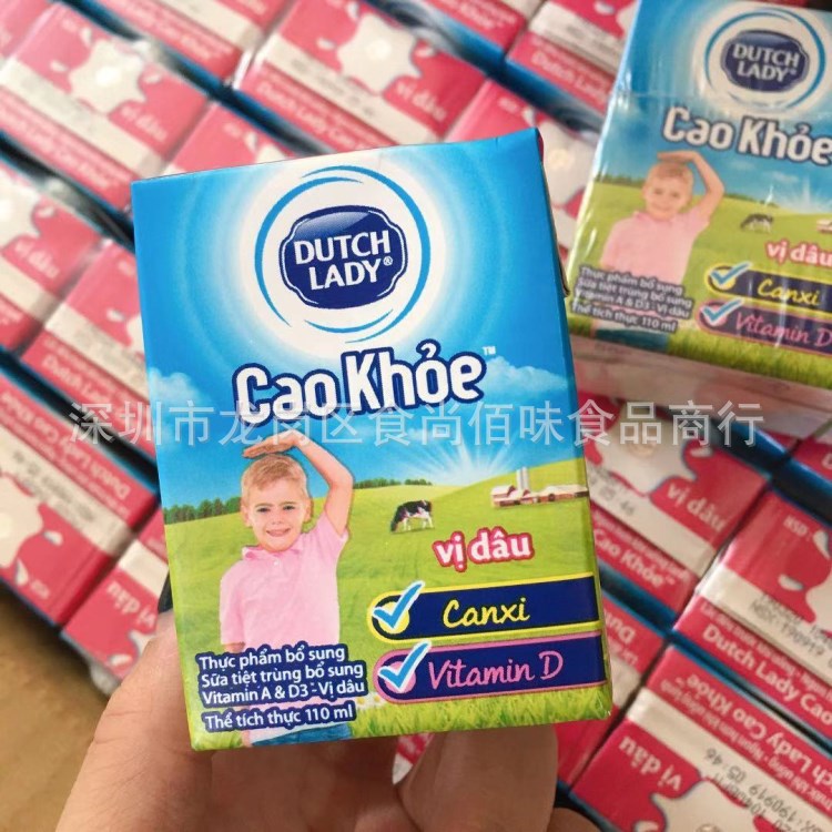 批发越南进口哒露奇草莓味子母奶含乳饮料儿童饮品110ml 48瓶一箱