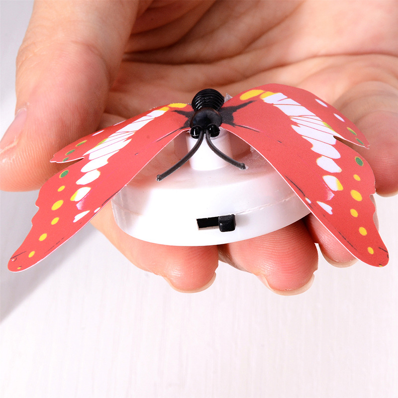 LED night light wall sconce, creative butterfly design, LED accent light, random base color