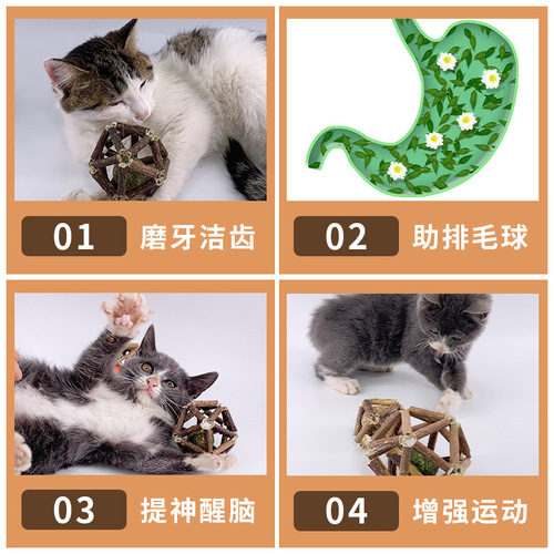 Mutian Polygonum Exquisite Bat Cat Teething Stick Natural Cat Snacks Bell Ball Self-Happiness Toy Cat Supplies Manufacturer