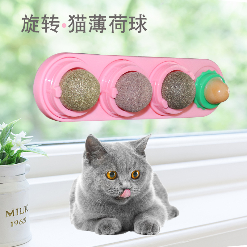 Productos para mascotas, Amazon, botón rotativo, bola de madera, gusano, bola de fruta, dulce para gatos, juguetes de menta para gatos.