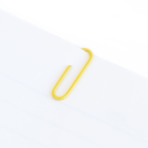 Deli 0024 color paper clip metal paper clip financial office information classification pin 100 paper clips