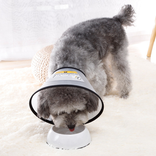 Elizabethan collar cat neck collar bathing beauty protective cover pet protective collar pet supplies wholesale