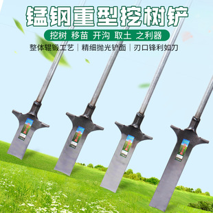 �Ͻ���i��ژ��P�ژ���@�P���F�@�@ˇ����P��ֲ��ľ�_���P