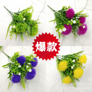 ����5��ˮ���ѹ�Ӣ ����С�����ٻ����l ����Ҿ��b[��